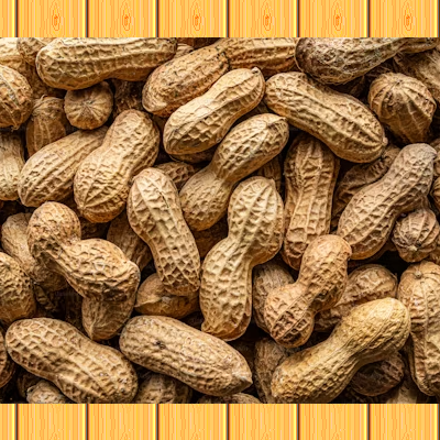 香脆可口营养丰富河南花生